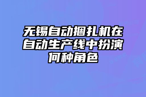 無錫自動捆扎機(jī)在自動生產(chǎn)線中扮演何種角色