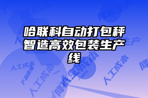 哈聯(lián)科自動打包秤智造高效包裝生產線